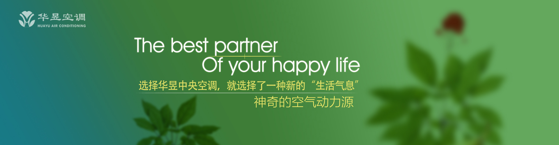 枇杷门巷网